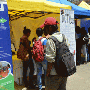 Plusieurs stands sont à visiter à l’Hôtel de Ville Analakely.