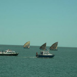 Toutes les catégories de navires ont participé au carnaval maritime.
