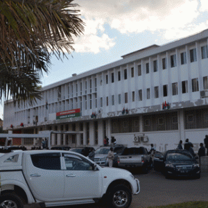 Même le parking de l’Assemblée nationale risque d’être trop exigu pour 151 véhicules 4x4.