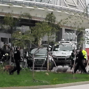 Les chiens EDD ou « Explosive Detection Dogs » ont reniflé jusqu’à la pelouse de l’hôtel 5 étoiles.