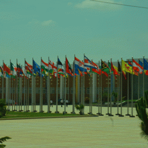 Le nombre exact des chefs d’Etat présents au Sommet ne sera connu que dans la soirée du vendredi. (Photo Kelly)